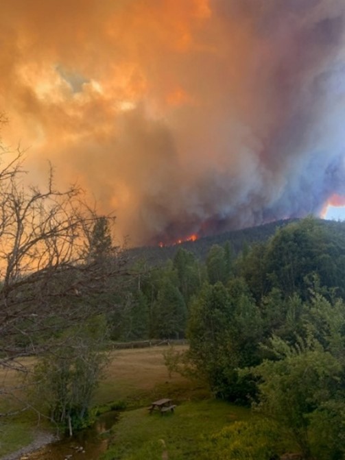 Hero Spotlight: WACOPS Wildfire Heroes